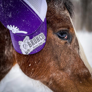 5 Tips to Stay Warm When Riding Horses in Cold Weather - Bronco Western Supply Co.