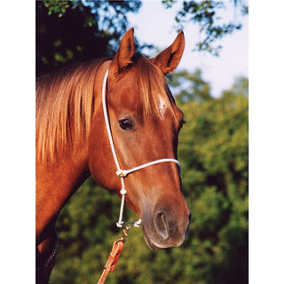 Tack - Bronco Western Supply Co.