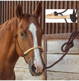 Classic Equine Braided Rawhide Noseband Halter with 8 foot Lead Rope- Solid Brown
