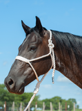 Flat Braid Halter with 8ft Lead Halters & Leads Cashel Company Bronco Western Supply Co. 