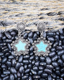 Dust & Dazzle Dangle Fashion Earrings
