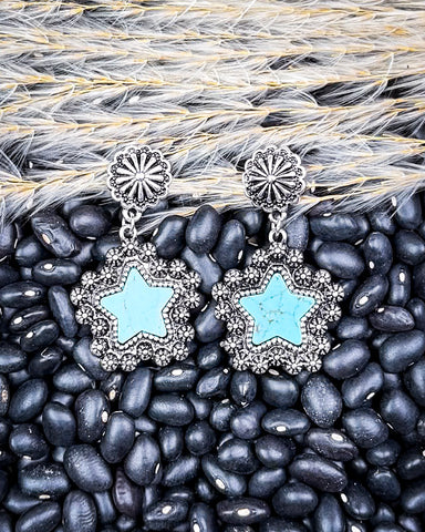 Dust & Dazzle Dangle Fashion Earrings