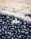 Ring displayed on black pebbles.