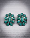 Wonder Stud Fashion Earrings