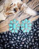 Wonder Stud Fashion Earrings