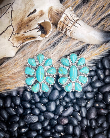Wonder Stud Fashion Earrings