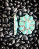 Wonder Stud Fashion Earrings