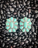 Wonder Stud Fashion Earrings