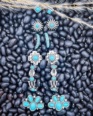 High Desert Dream Fashion Earring Set