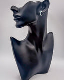 High Desert Dream Fashion Earring Set