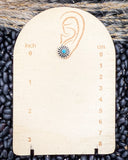 High Desert Dream Fashion Earring Set