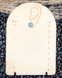 High Desert Dream Fashion Earring Set