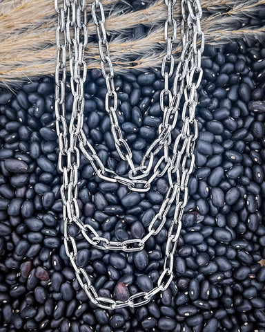 Silver chain necklace on a background of dark beans