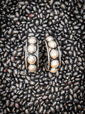 Austin - Bubble Stud Hoop Earring - Silver - Western Jewelry - Bronco Western Supply Co.