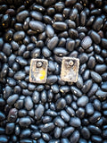 Windom Stud Earring - Silver - Western Jewelry - Faux Turquoise - Bronco Western Supply Co.