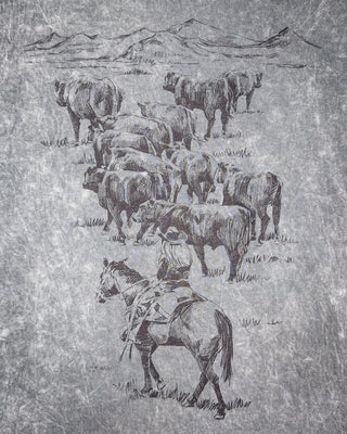 Open Range Boyfriend Tee in Stone Gray Mineral Wash