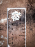 Ring sitting on a ruler for size