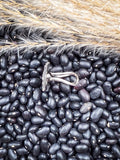 Side view of ring displayed on beans