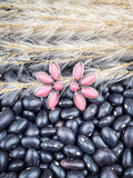 stud earrings on beans and wheat