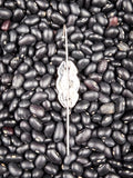 ear pin on beans