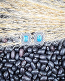 The Asia Genuine Turquoise Earrings displayed on beans and wheat.