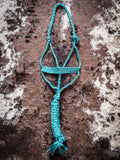 Turquoise Mule Tape Halter with Lead