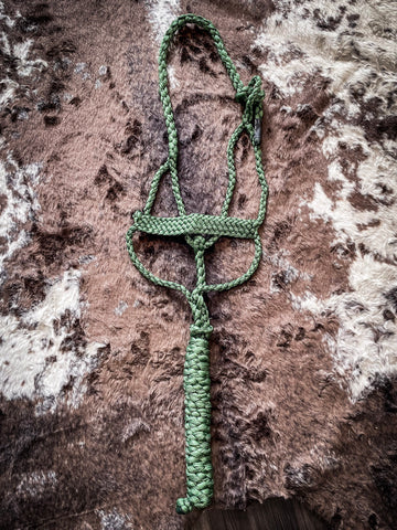 Flat Braid Halter with 8ft Lead- Green