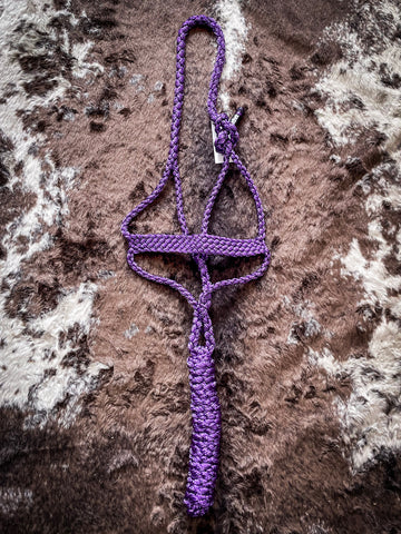Flat Braid Halter with 8ft Lead- Purple