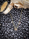 Horse Shoe Brass Necklace