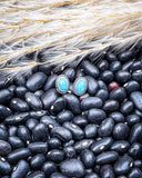 Fala Genuine Turquoise Stud Earrings