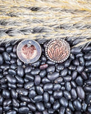 Eliza Flower Stud Fashion Earrings - Copper/Silver