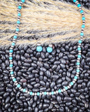 Blue River Fashion Choker Necklace Set - Jewelry - Blue Tortoise - Bronco Western Supply Co.