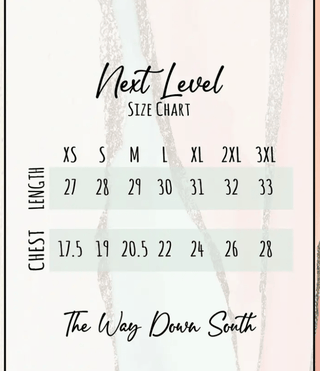 Bucking Horse Graphic Tee - Oat – Shirts & Tops from Bronco Western Supply Co.