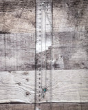 Buttercup Horse Head Pendant Fashion Necklace - Jewelry - Blue Tortoise - Bronco Western Supply Co.