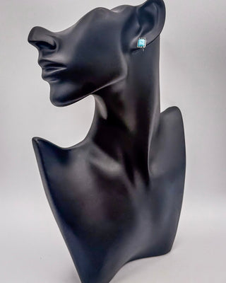 Cowgirl Charm Fashion Earring Set – Jewelry from Bronco Western Supply Co.