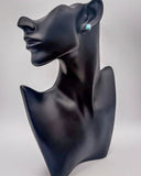 Cowgirl Charm Fashion Earring Set - Jewelry - Blue Tortoise - Bronco Western Supply Co.