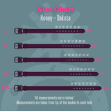 Dakota - Brown and Turquoise Aztec Hooey Belt - Apparel - Hooey - Bronco Western Supply Co.