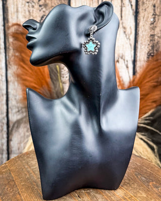 Dust & Dazzle Dangle Fashion Earrings – Jewelry from Bronco Western Supply Co.