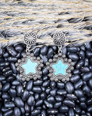 Dust & Dazzle Dangle Fashion Earrings – Jewelry from Bronco Western Supply Co.