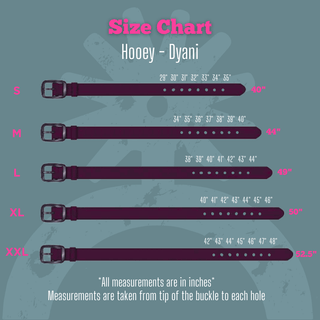 Dyani - Brown and Turquoise Aztec Hooey belt – Accessories from Bronco Western Supply Co.