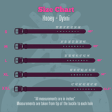 Dyani - Brown and Turquoise Aztec Hooey belt - Accessories - Hooey - Bronco Western Supply Co.