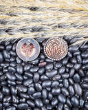 Eliza Flower Stud Fashion Earrings - Copper/Silver - Jewelry - Blue Tortoise - Bronco Western Supply Co.