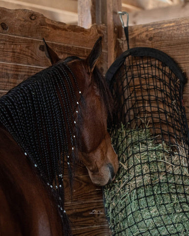 Horse standing next to a wooden wall with a netting product, featuring 'Hang-Over Haynets' branding.