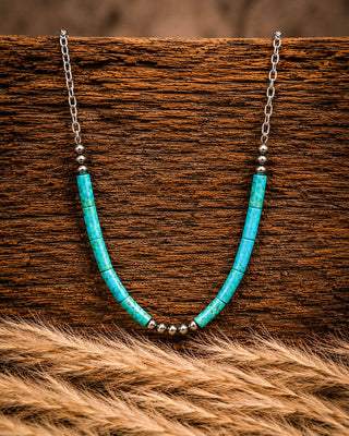 A silver chain necklace featuring two curved strands of turquoise beads with small silver spacer beads, displayed on a rustic wooden surface with dried grass in the foreground.