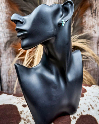 Lyra Genuine Turquoise Earrings – Jewelry from Bronco Western Supply Co.