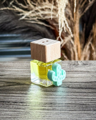 Minty Cactus Vent Clip Car Diffuser in Leather and Lace – Accessories from Bronco Western Supply Co.