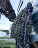 Horse with a hay net hanging on a trailer in an outdoor setting