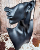 Reiny Stud Fashion Earring Set - Silver - Jewelry - Blue Tortoise - Bronco Western Supply Co.