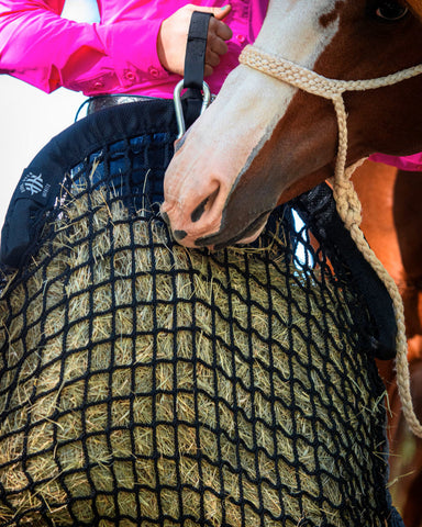 Horse with a hay net in its mouth, held by a person in a pink shirt.