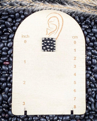 Sagebrush Silver 6 - Pack Fashion Earring Set - Jewelry - Blue Tortoise - Bronco Western Supply Co.